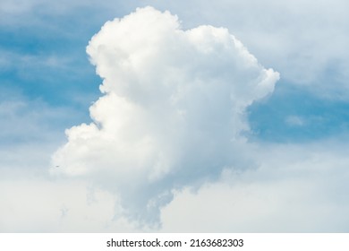 Massive cloud versus an airplane that is very small in comparison. This massive and unusual cloud was spotted at Miami Beach on July 3rd, 2021.