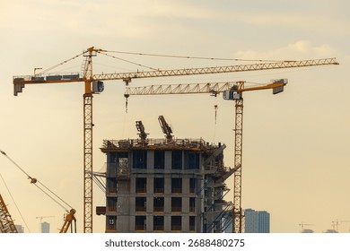 Massive cranes loom over a developing structure, capturing the essence of construction and urban progress at sunset.