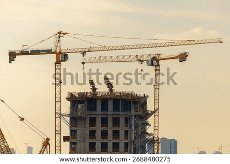 Massive cranes loom over a developing structure, capturing the essence of construction and urban progress at sunset.