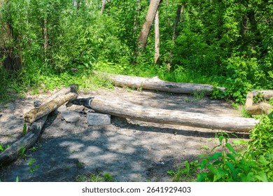 Massive fallen log blocks hiking trail surrounded by dense green forest canopy and filtered natural light - Powered by Shutterstock - Get 15% off with code: PIKWIZARD15