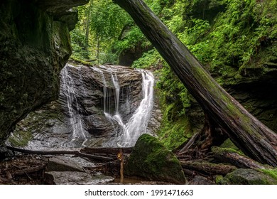 A massive fallen tree leans against the mossy sandstone walls of a rocky hollow backed by a secluded cascading waterfall in the northern Ohio Valley just south of St. Marys, West Virginia.