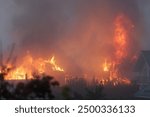 Massive fire engulfs houses and trees, billowing smoke into the sky on a sunny day, posing a serious threat and causing widespread destruction