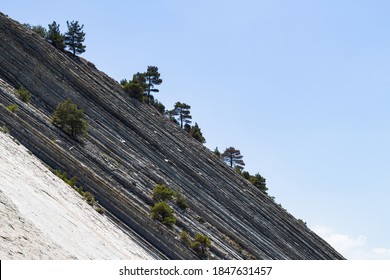 Massive gray rocks with trees against a bright blue sky in a wild beach area. Picturesque summer landscape. Steep slope and pine trees. The resort town of Gelendzhik. Russia, Black Sea coast