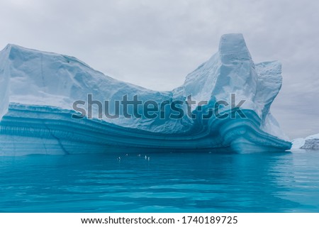 Massive Icebergs in the Waters along the Antarctic Peninsula