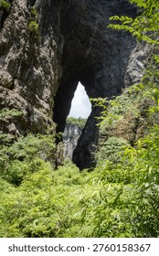 Massive natural rock arch frames lush greenery. Ferns and shrubs thrive under dappled sunlight. Vine-covered stone arch reveals distant sky. Green leaves frame the arch from above