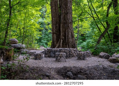 Massive old tree trunk in forest with stone picnic table and chairs in woodland clearing, nature recreation concept