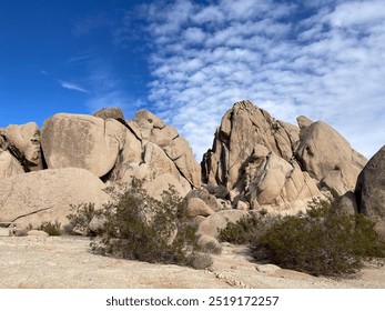 Massive rock formations rise against a backdrop of blue skies in Joshua Tree National Park, offering a stunning view of the desert landscape. Perfect for hiking, climbing, and appreciating nature. - Powered by Shutterstock