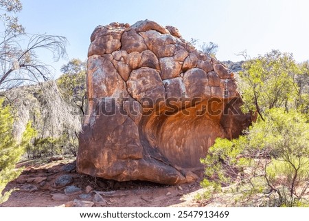A massive sandstone boulder carved and weathered by the wind and rain over time in rocky country with mulga trees in Wilpena Pound National Park in the Flinders Ranges in South Australia.