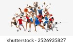 Massive sports collage featuring various athletes in midst of action, bringing strong sense of competition and movement. Concept of different kinds of sports, championship, league. Ad