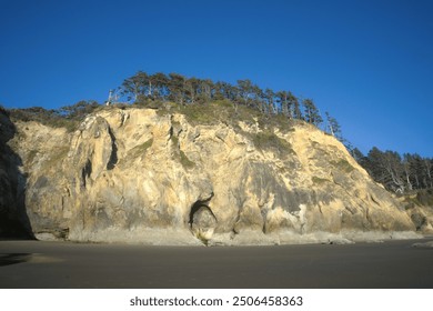 Massive stone bluffs and other rock formations with pines and other lush foliage growing on top of them rising out of an empty sandy beach on a clear sunny day.  - Powered by Shutterstock