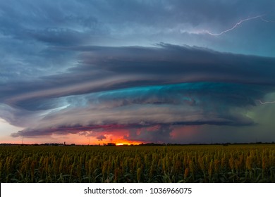Massive Supercell at Sunset over Sorghum Fields in Kansas.