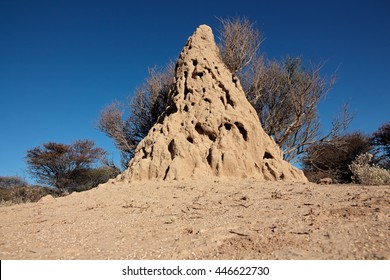 Massive Termite Mound Against A Blue Sky, Southern Africa
