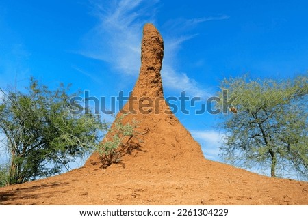 Massive termite mound against a blue sky, Northern Namibia