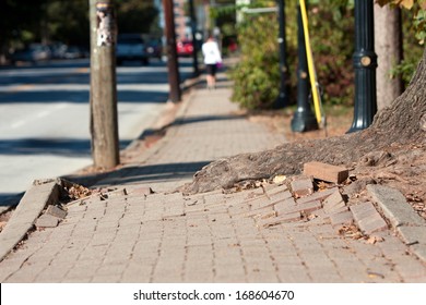 A Massive Tree Root Pushes Through The Bricks Of A Sidewalk 