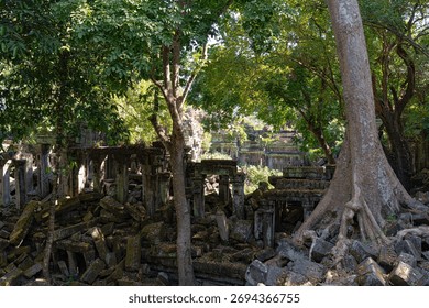 Massive Tree Root and Rubble Piles in the Unrestored Ruins of Beng Mealea