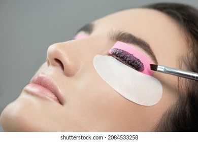 Master applies lash dye to eyelashes. Close-up of beauty model's face during lash lift laminating botox procedure. Eyelash Care Treatment: eyelash lifting and curling, lash lamination and extension.