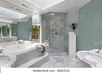 Master Bath With Step Up Tub