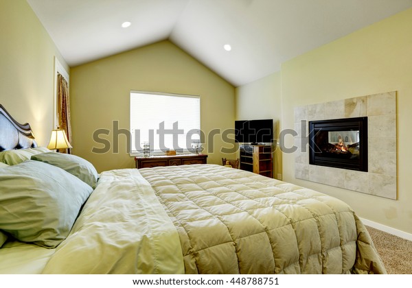 Master Bedroom Built Fireplace Vaulted Ceiling Stock Photo