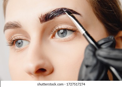 Master Brush Dye Henna Eyebrows Woman In Beauty Salon. Correction Of Brow Hair.