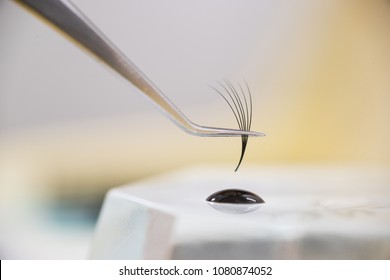 The master builds up large colored eyelashes to the client. Immerses the material in black glue