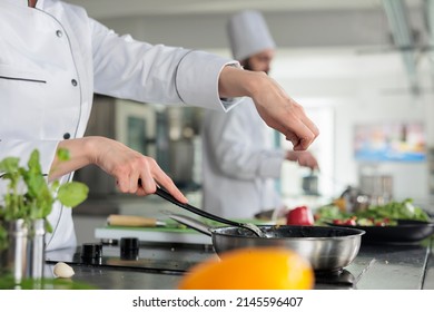 Master chef in professional kitchen seasoning vegetable gourmet dish stew with fresh organic herbs and spices. Gastronomic expert cooking for dinner service held at fine dining restaurant. - Powered by Shutterstock