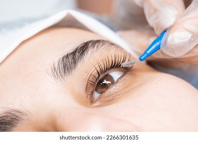The master combs the eyelashes of the client after the lamination procedure. 