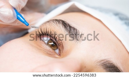 The master combs the eyelashes of the client after the lamination procedure. 