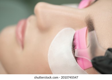 Master Glues Eyelashes To Lash Roller By Applicator. Close-up Of Beauty Model's Face During Lash Lift Laminating Botox Procedure. Eyelash Care Treatment: Lifting And Curling, Lash Lamination