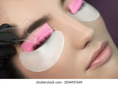 Master glues eyelashes to lash roller by applicator. Eyelash Care Treatment: eyelash lifting and curling, lash lamination and extension.