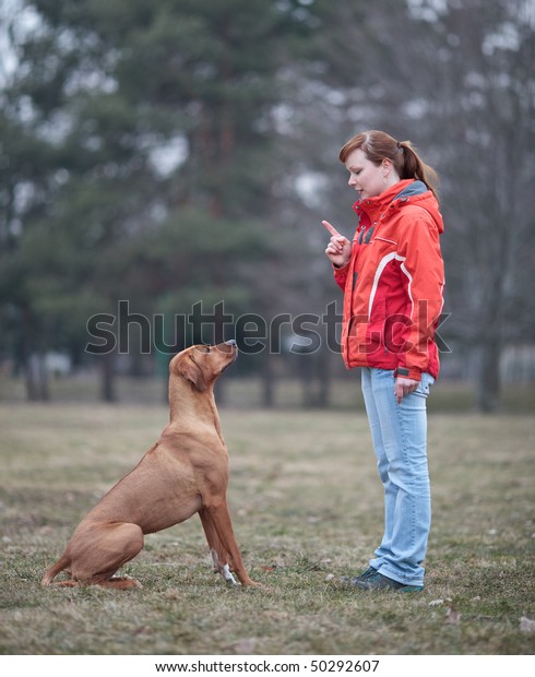 rhodesian ridgeback obedience