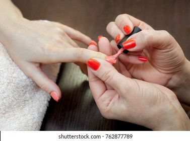 The master of the manicure paints nails with nail polish during the procedure of nail extensions with gel in the beauty salon. Professional care for hands.