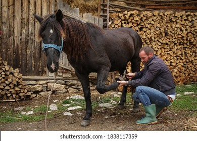 The master pincers removes the grown nail. A farrier works on a horse foot to clean it before creating a horseshoe for the animal