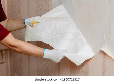 The Master Removes Old Wallpaper From The Wall. Repair Of Apartments