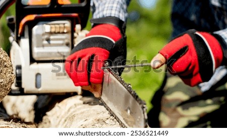 master sharpens a chainsaw chain with a file
