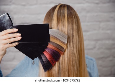 Master shows palette of hair colors on background of client.