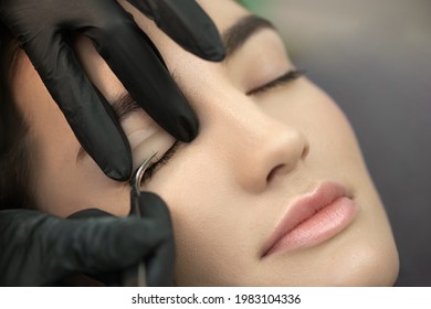 Master Starts To Glue Eyelash To White Lash Roller. Close-up Of Beauty Model's Face During Lash Lift Laminating Procedure. Eyelash Care Treatment: Lifting And Curling, Lash Lamination And Extension