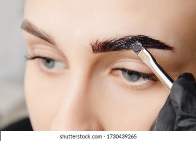 Master tinting of eyebrow hair women, brow correction.