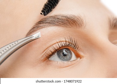Master tweezers depilation of eyebrow hair in women, brow correction.