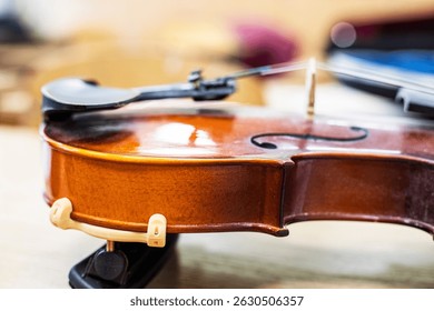master violin with bridge close-up on table