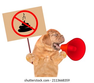 Mastiff puppy screaming into a megaphone and holding sign "no dog poop". Concept cleaning up dog droppings. Isolated on white background
