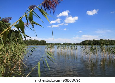 Masuria (Mazury) Lake Region In Poland. Summer Landscape In Europe. Wydminskie Lake.