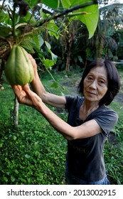 Mata De Sao Joao, Bahia, Brazil - July 23, 2018: Person Of Japanese Descent Working A Farm In The City Of Mata De Sao Joao. 