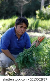 Mata De Sao Joao, Bahia, Brazil - July 23, 2018: Person Of Japanese Descent Working A Farm In The City Of Mata De Sao Joao. 