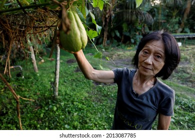 Mata De Sao Joao, Bahia, Brazil - July 23, 2018: Person Of Japanese Descent Working A Farm In The City Of Mata De Sao Joao. 