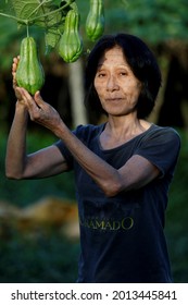 Mata De Sao Joao, Bahia, Brazil - July 23, 2018: Person Of Japanese Descent Working A Farm In The City Of Mata De Sao Joao. 