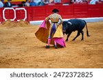 A matador, dressed in a vibrant pink and yellow outfit, is performing a maneuver with a black bull. The matador holds a large, flowing cape, which the bull is charging at, creating 