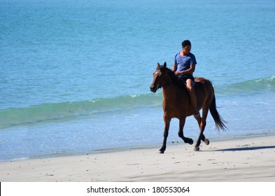 63 Matai Bay Images, Stock Photos & Vectors | Shutterstock