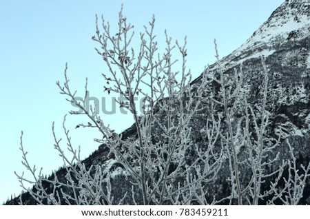 Matanuska Valley in Winter