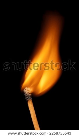 Match flame over black background, close up Macro fire burning on matchstick. Wooden matches with red sulfur heads, fire ignition match. Idea spark as leadership bring fire to team