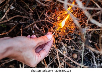 a match in a woman's hand sets fire to dry grass and branches (Corrected) 